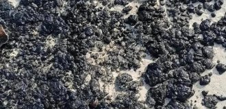 Пляжи Пхукета залило мазутом (4 фото)