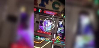 В Индии засняли дальнобойщика на расслабоне