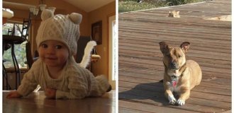 Фотобомба  по-кошачьи: 20 обаятельных и скромных моделей, которые  не стали ждать приглашения попозировать (21 фото)