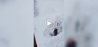 На севере Турции выпал снег до двух метров: водители спасают машины из сугробов