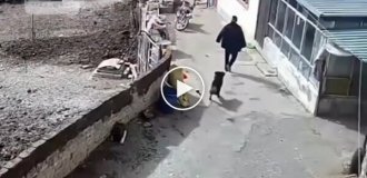 Не растерялся
