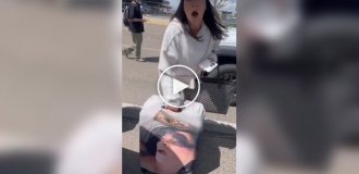 Уникальный чехол для чемодана