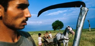 Почему у цыган нет своего государства? (4 фото)