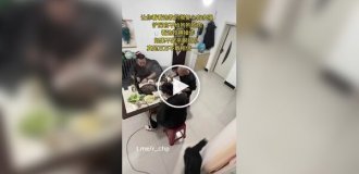 Голодний пес провчив господаря