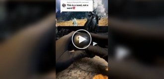 Домашнее «Око Саурона»