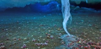 5 разючих феноменів океану (8 фото)