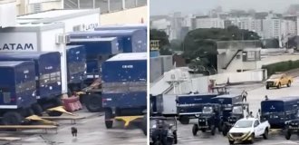 Собака, сбежавшая из клетки, устроила хаос на взлётно-посадочной полосе аэропорта (2 фото + 1 видео)