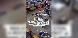 Мужчина пытался похитить робота из ресторана