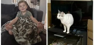 20 Striking Proofs That Perspective Loves Us and Can Masterfully Troll Us (21 photos)