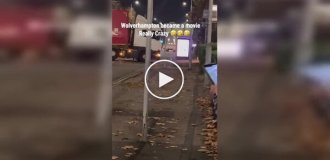 Пьяный мужчина в Британии угнал бульдозер