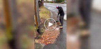 Cleaning the street from leaves