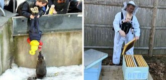 20+ пап, которые ведут себя как-то по-настоящему необычно, но детям это очень нравится! (22 фото)