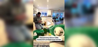 елка, которую коты точно не уронят