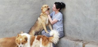 Тёмная сторона Египта: туристка спасла собак из концлагеря (26 фото)