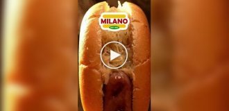 Необычная реклама хот-догов