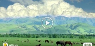Национальный парк Nalati Grassland. Синьцзян-Уйгурский автономный район, Китай