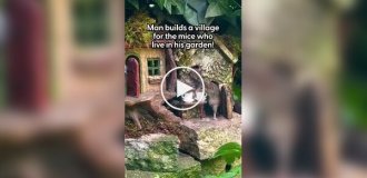 Man builds a village for mice living in his garden