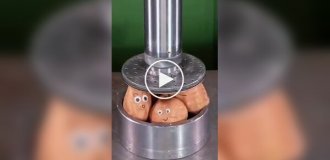 We put various objects under a hydraulic press