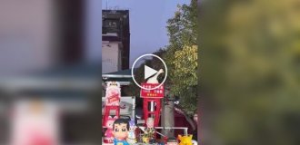 Гусь стал звездой новогодних праздников в Китае