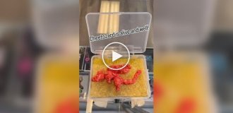 Мужчина установил рекорд Гиннеса за самую дорогую покупку чипсины