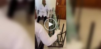В Африке крыс обучают выявлять туберкулез