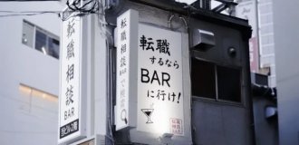 A Bar Opens in Japan That Offers Free Drinks to Burned-Out Employees Who Want to Resign (2 photos)