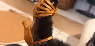 What Did You Know About Style (4 photos)