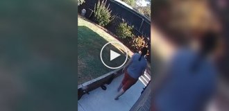 Ядовитая змея обвилась вокруг ноги женщины во дворе дома