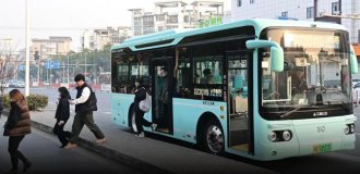 Passengers vote to choose where the bus will go (5 photos)