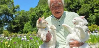 Японский дедушка любит гулять и фотографироваться со своими кошками (10 фото)