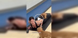 Йога з пухнастим помічником