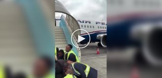 Погрузка бодипозитивной активистки в самолет
