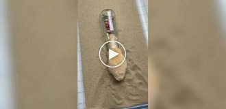 A nimble hamster checked the contents of a bottle