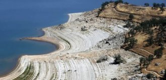 Ужасающие последствия засухи в Калифорнии (22 фото)