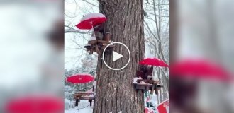 Оригинальные кормушки для маленьких диких животных