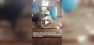 Говорящая птица покорила жителей индийской деревни