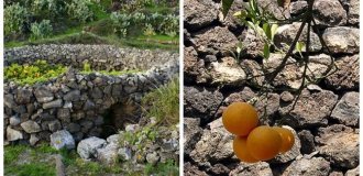 Пантеллерия – остров-крепость, где апельсины зреют за каменными стенами (10 фото)