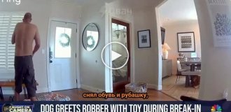 Friendly dog ​​brings toy to stranger who broke into the house