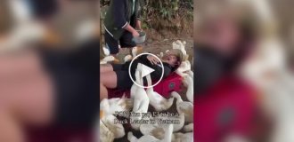 Качина терапія для вигорілих