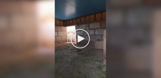 Опасные игры с малышом носорогом: Джерко идет на голос