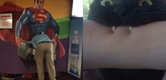 Не каждый день такое увидишь! 25 удивительных случаев и вещей, запечатленных на фото (26 фото)