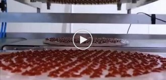 How pizza is made in factories