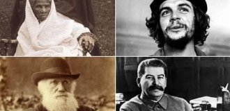 Старший — не означає найкращий: науковці з'ясували, що первістки в сім'ї не розумніші за інших (12 фото)