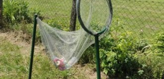 Что за штука: самые странные находки. Выпуск 236