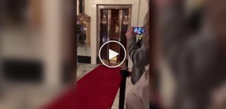 Утки на красной дорожке отеля
