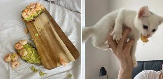 17 провальних фотографій від людей, які цього дня витягли у долі невдалий квиток (18 фото)