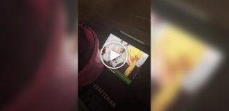 Конь-анимешник