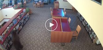 A bear breaks into a library in the USA