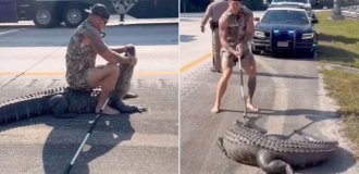 Житель Флориды сразился с трёхметровым аллигатором на обочине шоссе (6 фото + 1 видео)