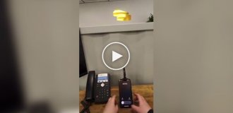 Сотрудник офиса прикрыл своего коллегу